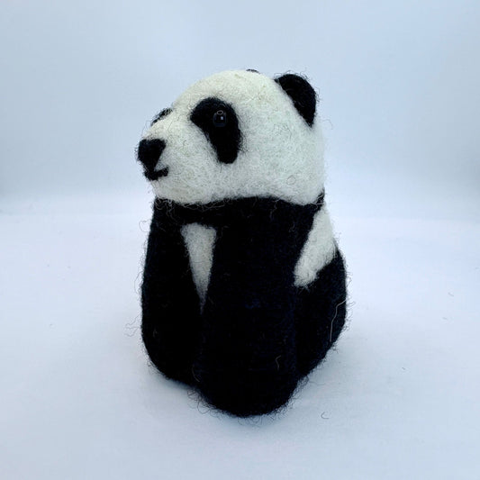 Panda Bear