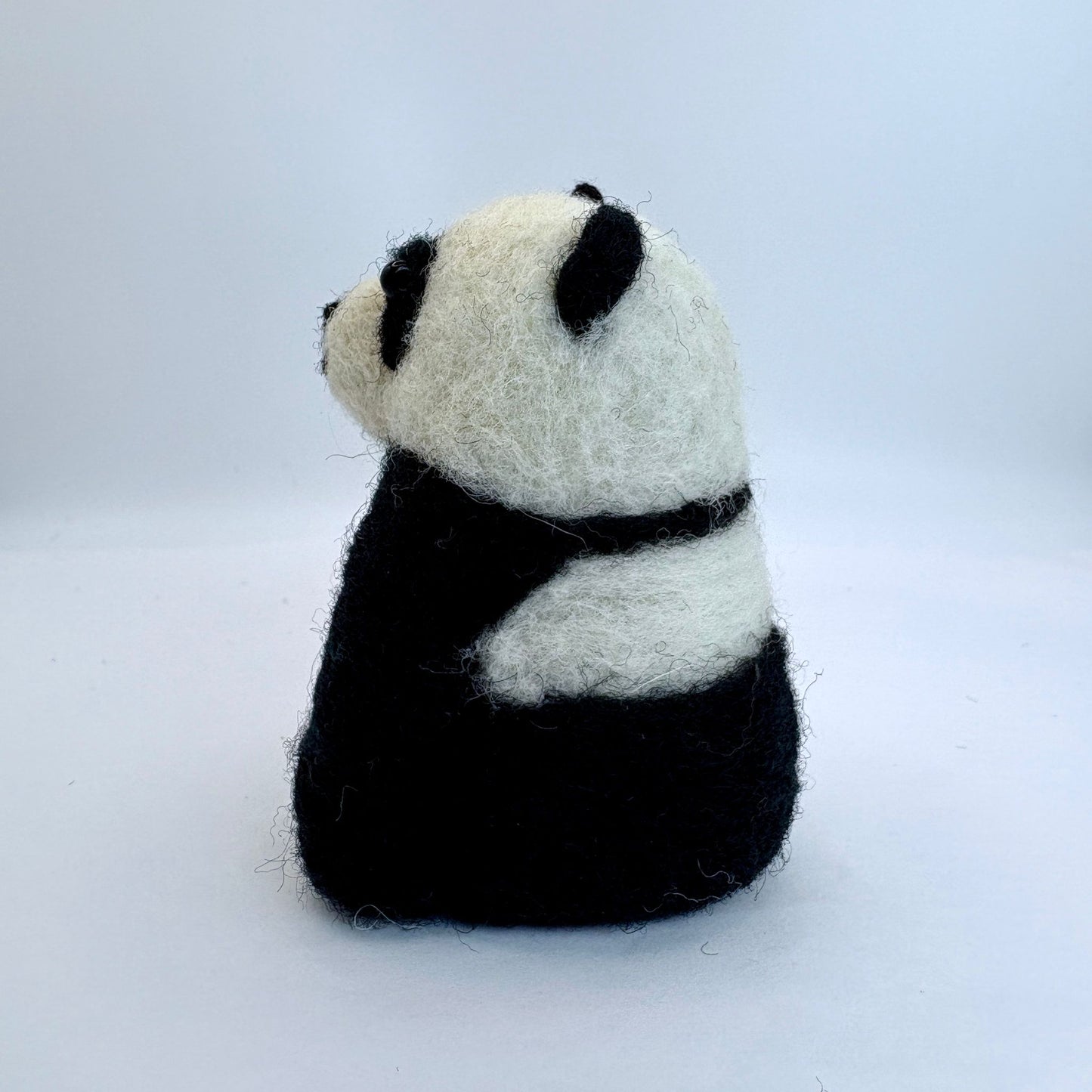 Panda Bear