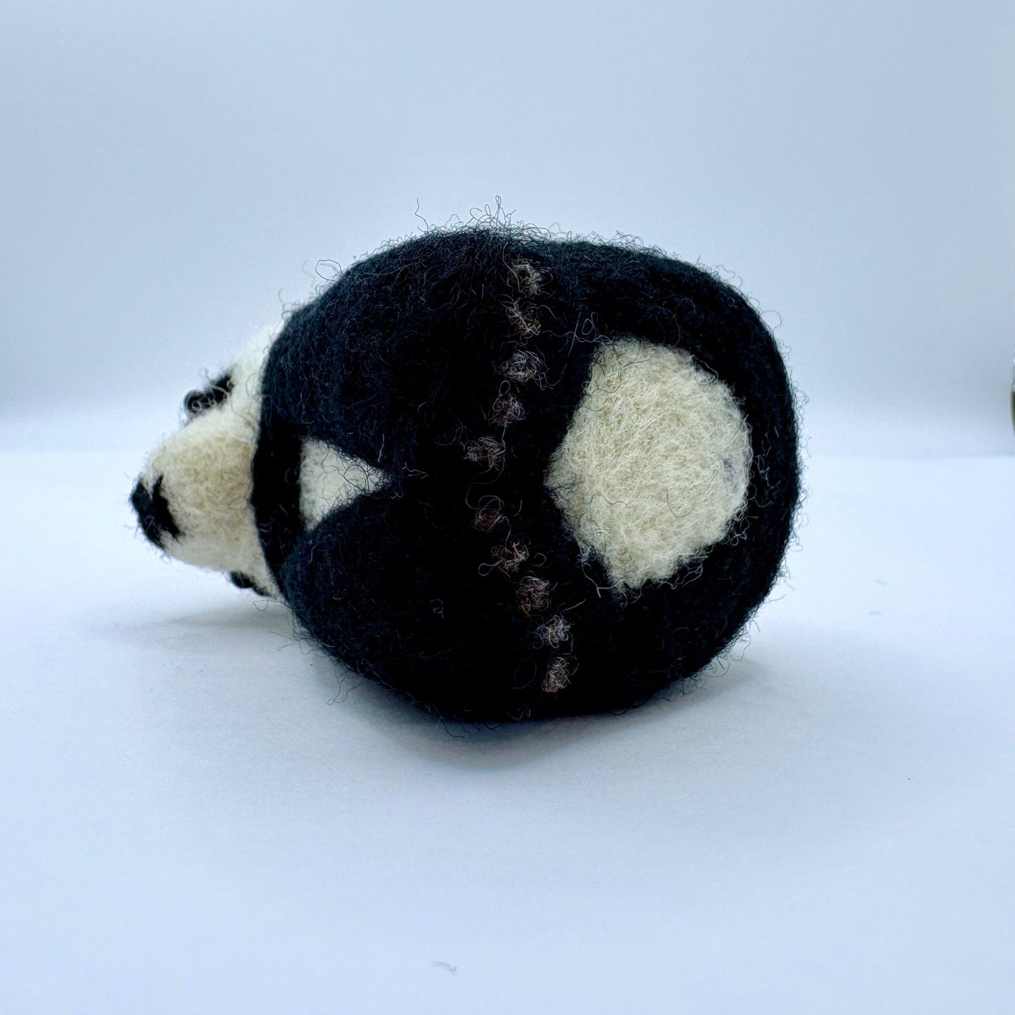 Panda Bear