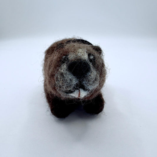 Beaver