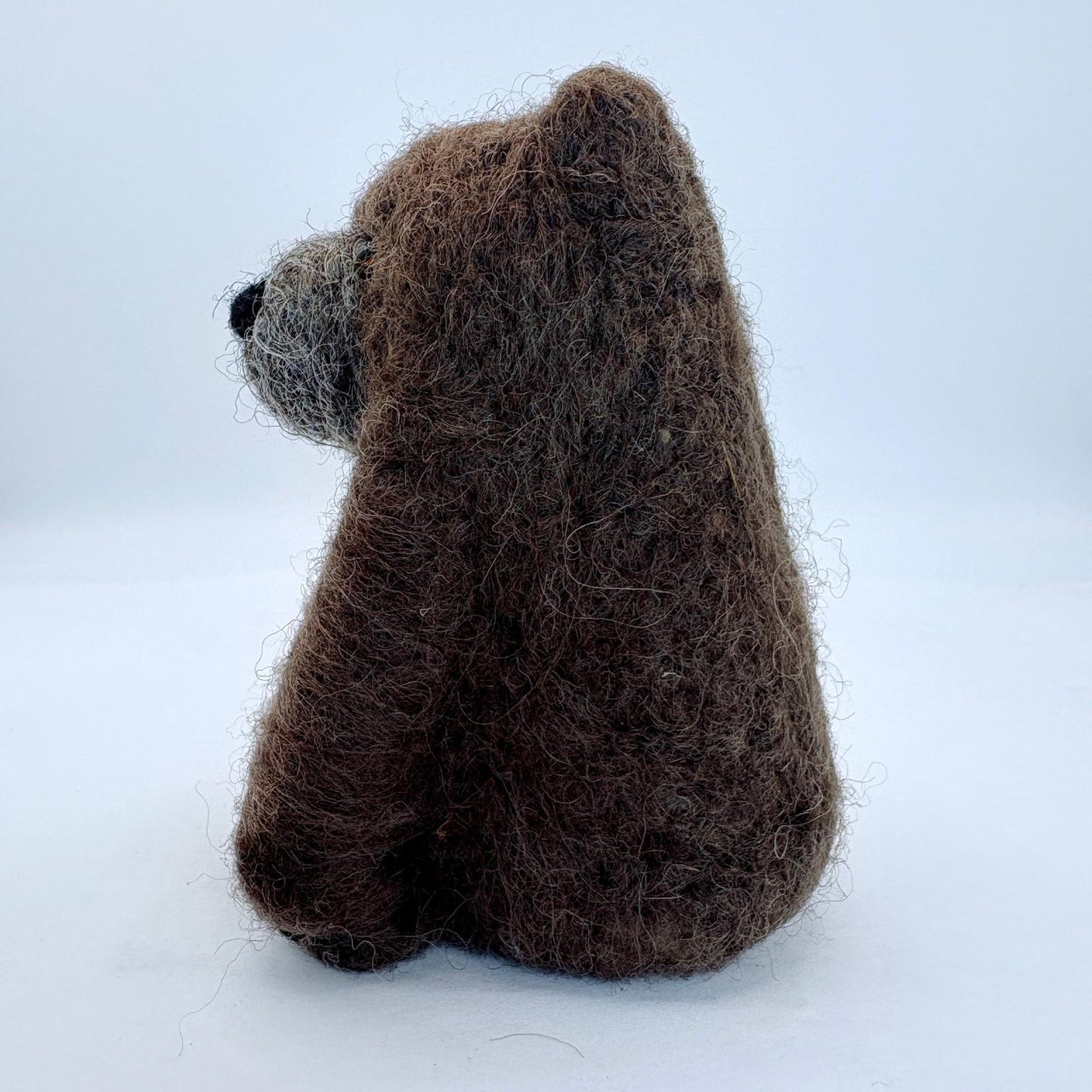 Grizzly Bear
