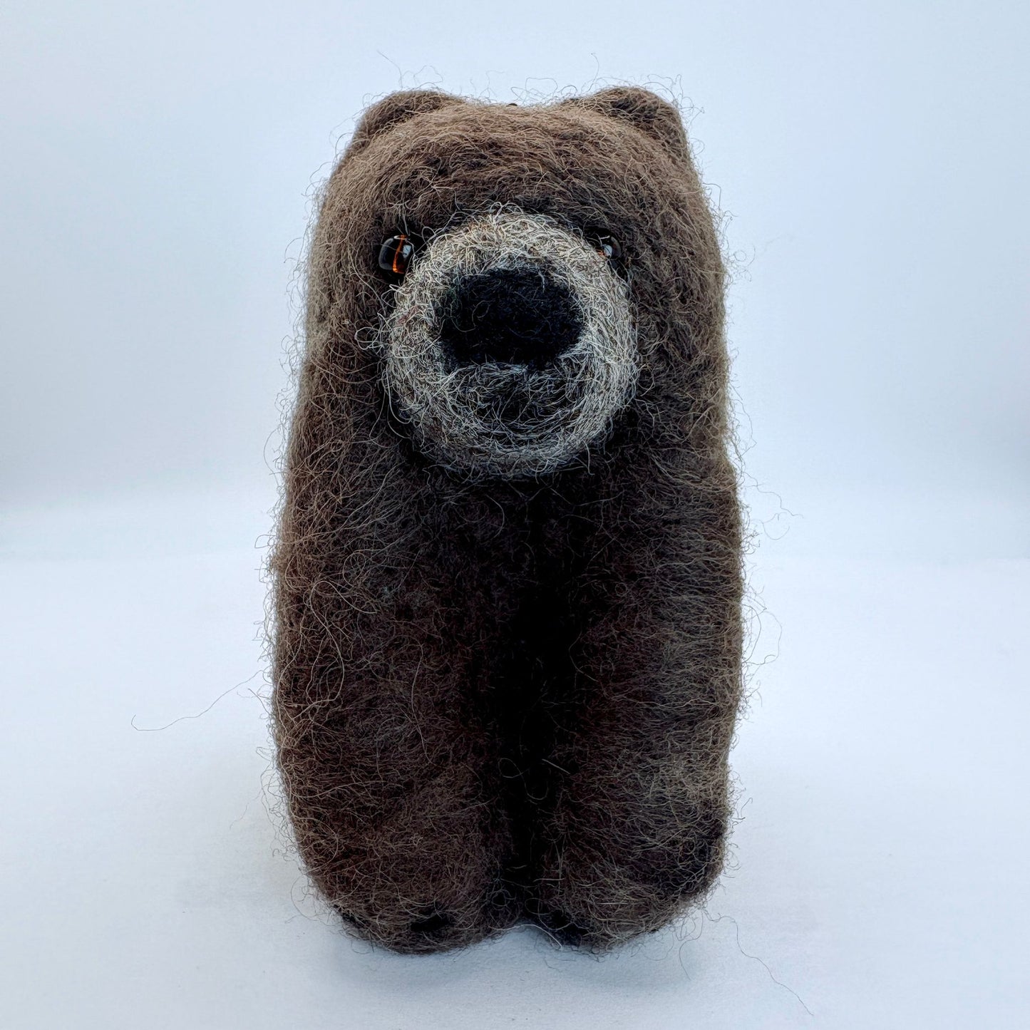 Grizzly Bear