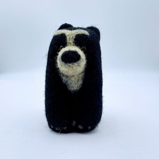 Spectacled Bear