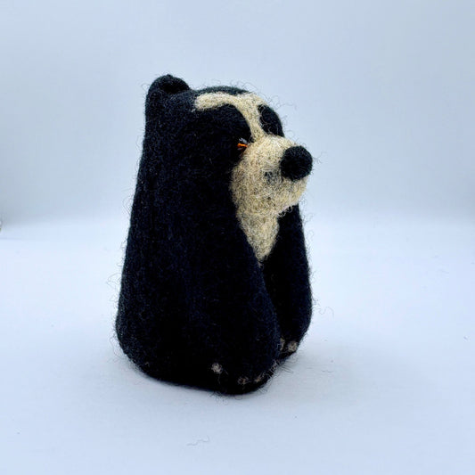 Spectacled Bear