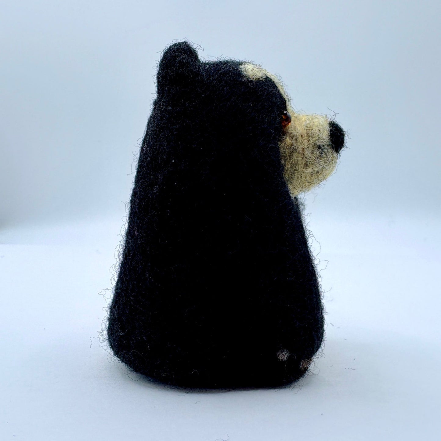 Spectacled Bear