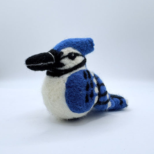 Blue Jay B