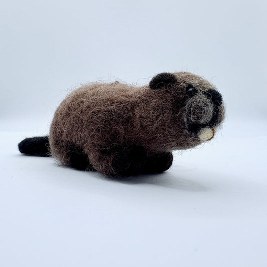Beaver
