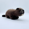 Beaver