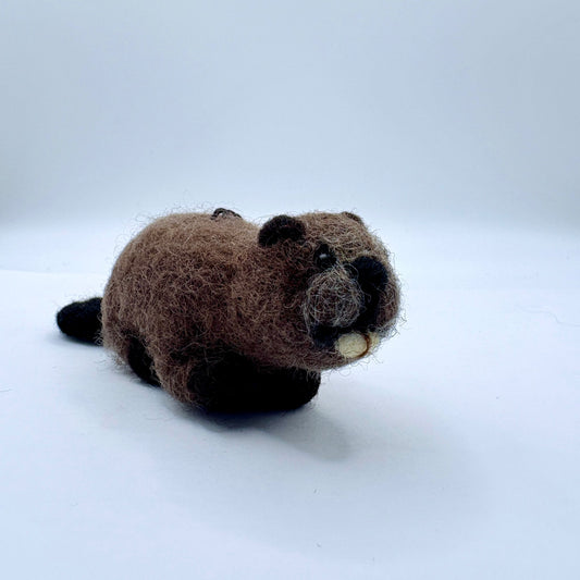 Beaver