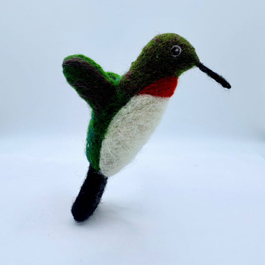 Hummingbird, Ruby