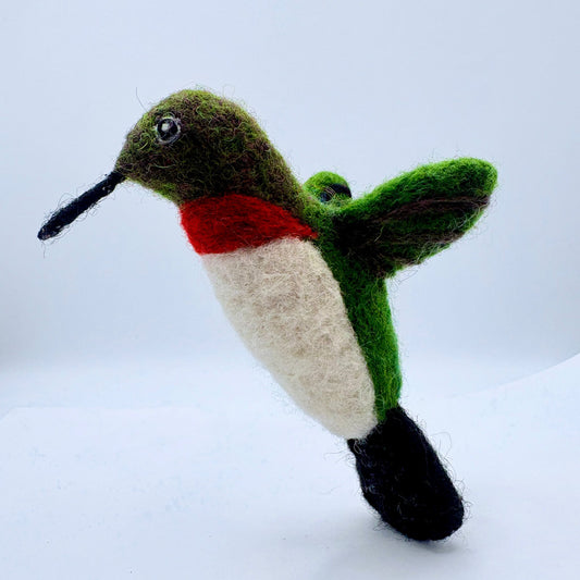 Hummingbird, Ruby