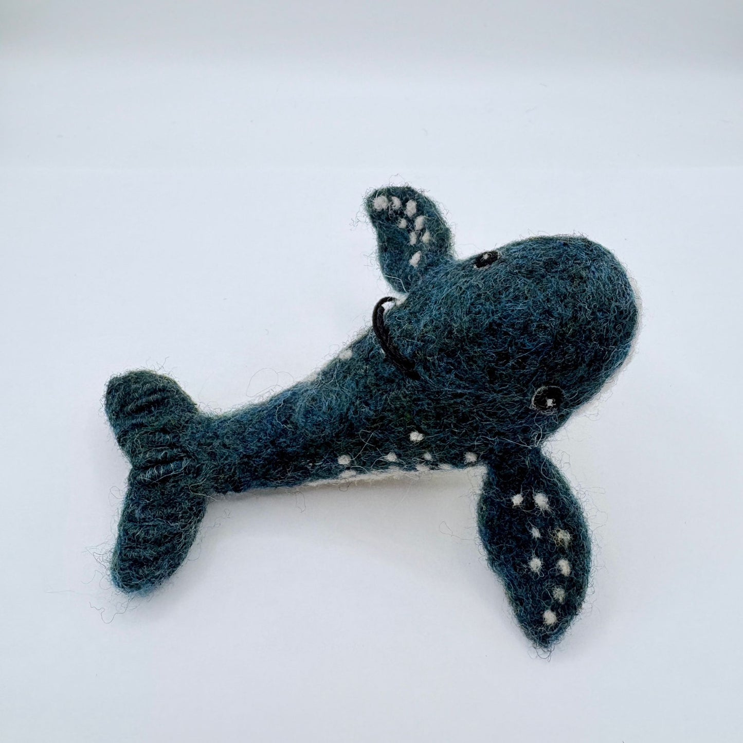Blue Whale