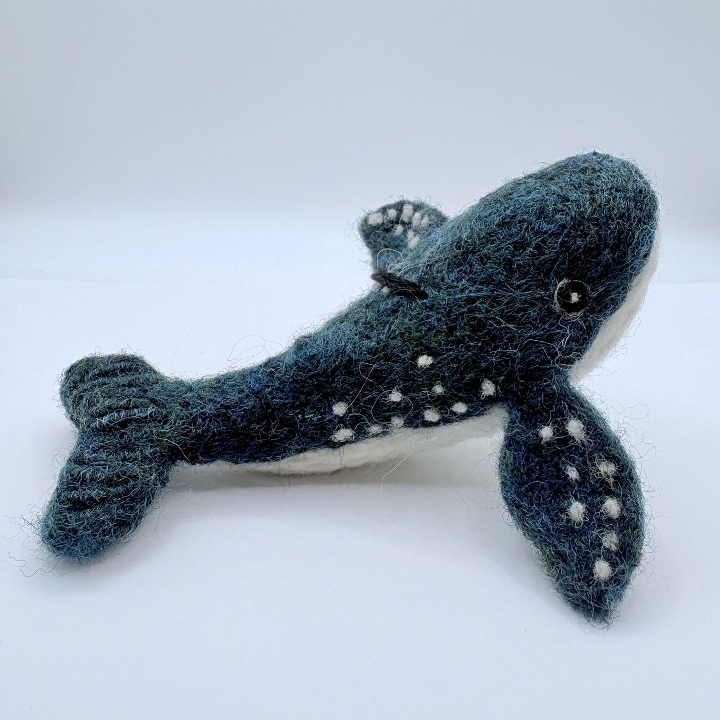 Blue Whale