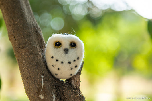 Owl, Snow