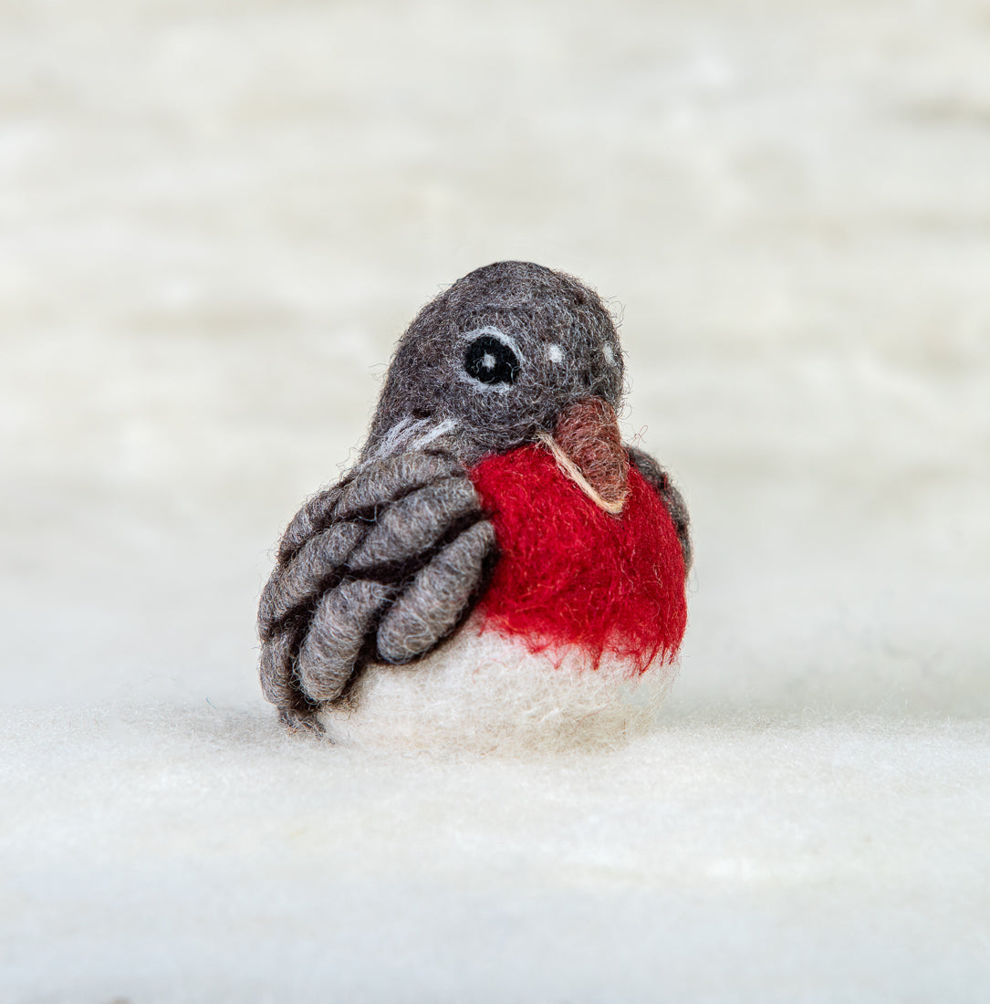 Robin Bird