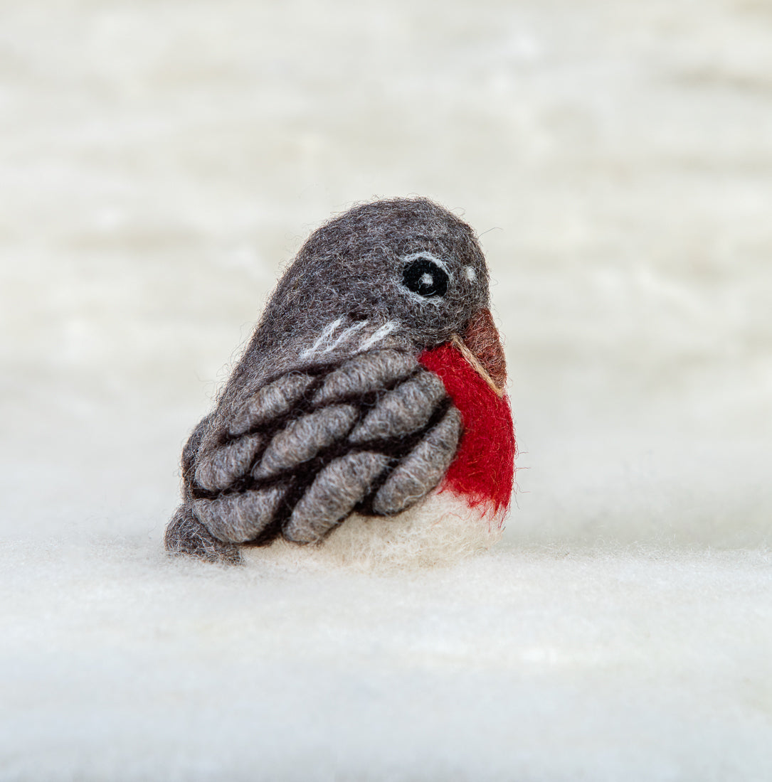 Robin Bird