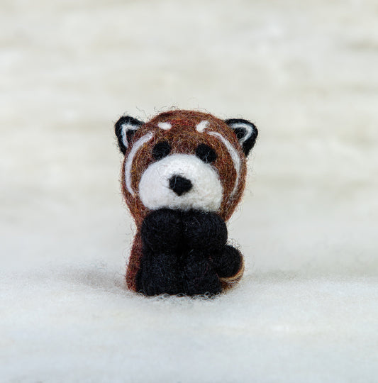 Red Panda