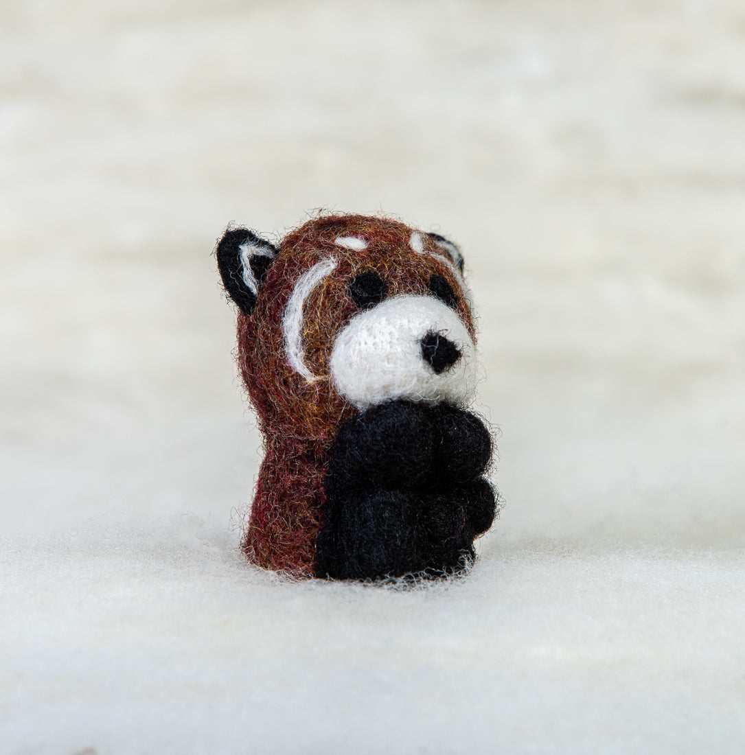 Red Panda