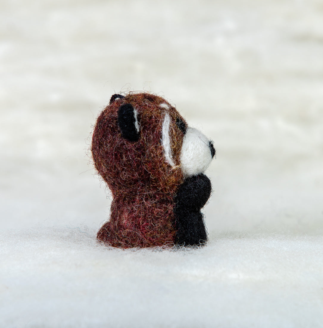 Red Panda
