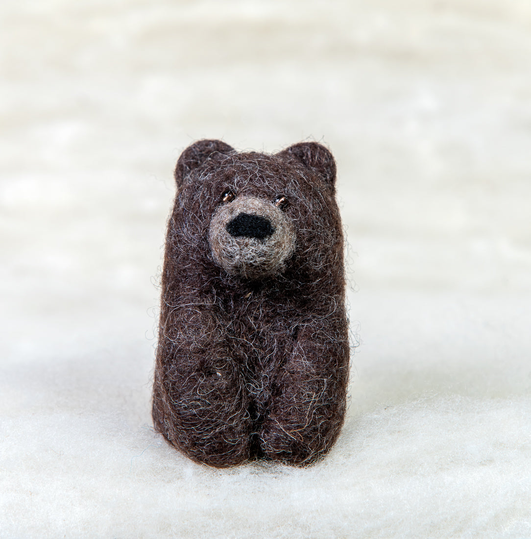 Grizzly Bear