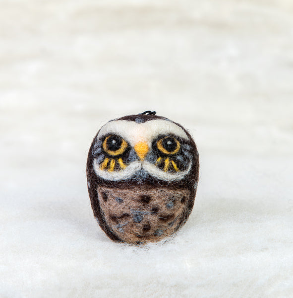 Owl - Burrowing owl