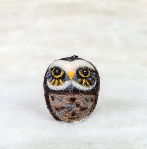 Owl - Burrowing owl