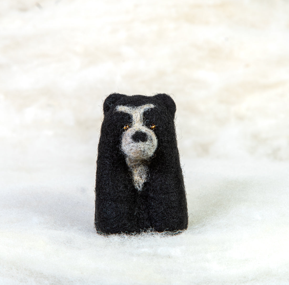 Bear - Spectacled Bear