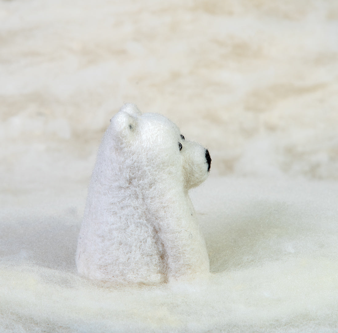 Polar Bear