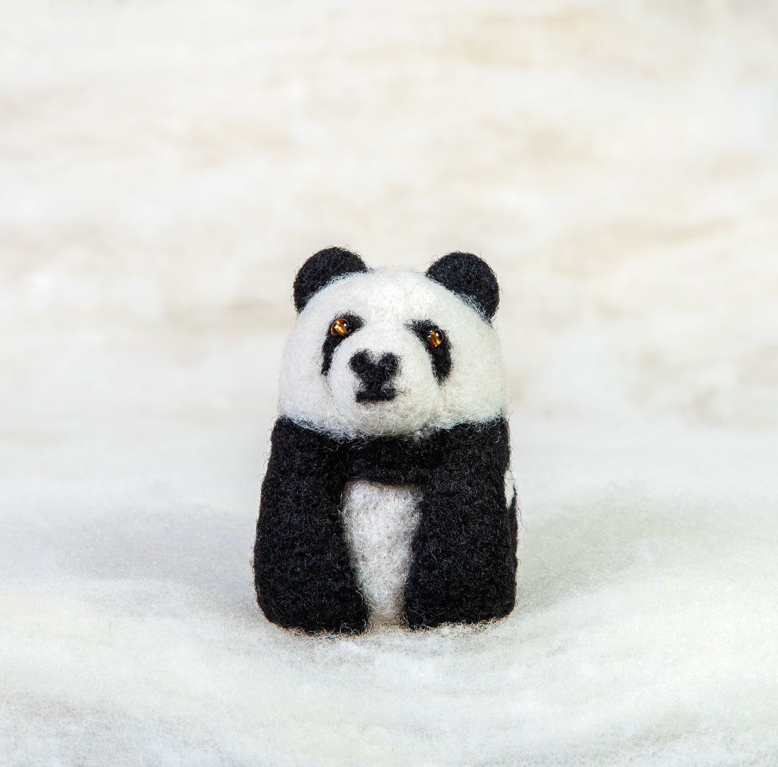 Panda Bear