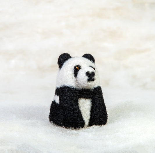 Panda Bear