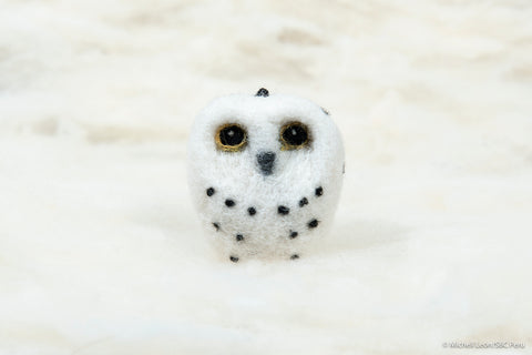 Owl - Snow owl