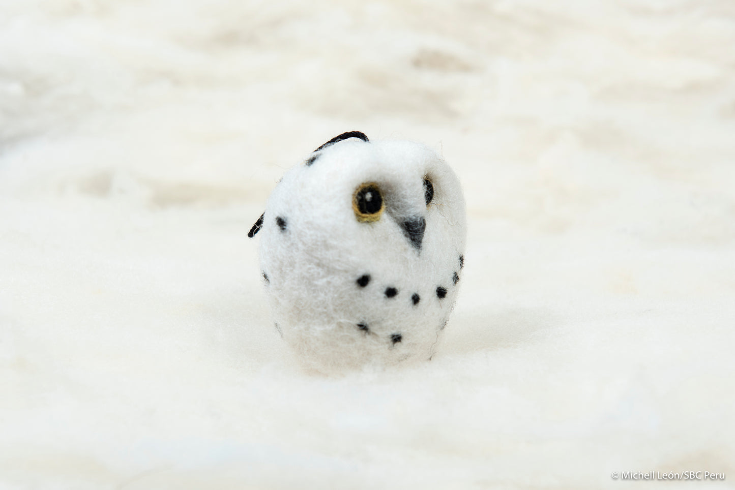 Owl, Snow