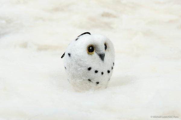 Owl - Snow owl