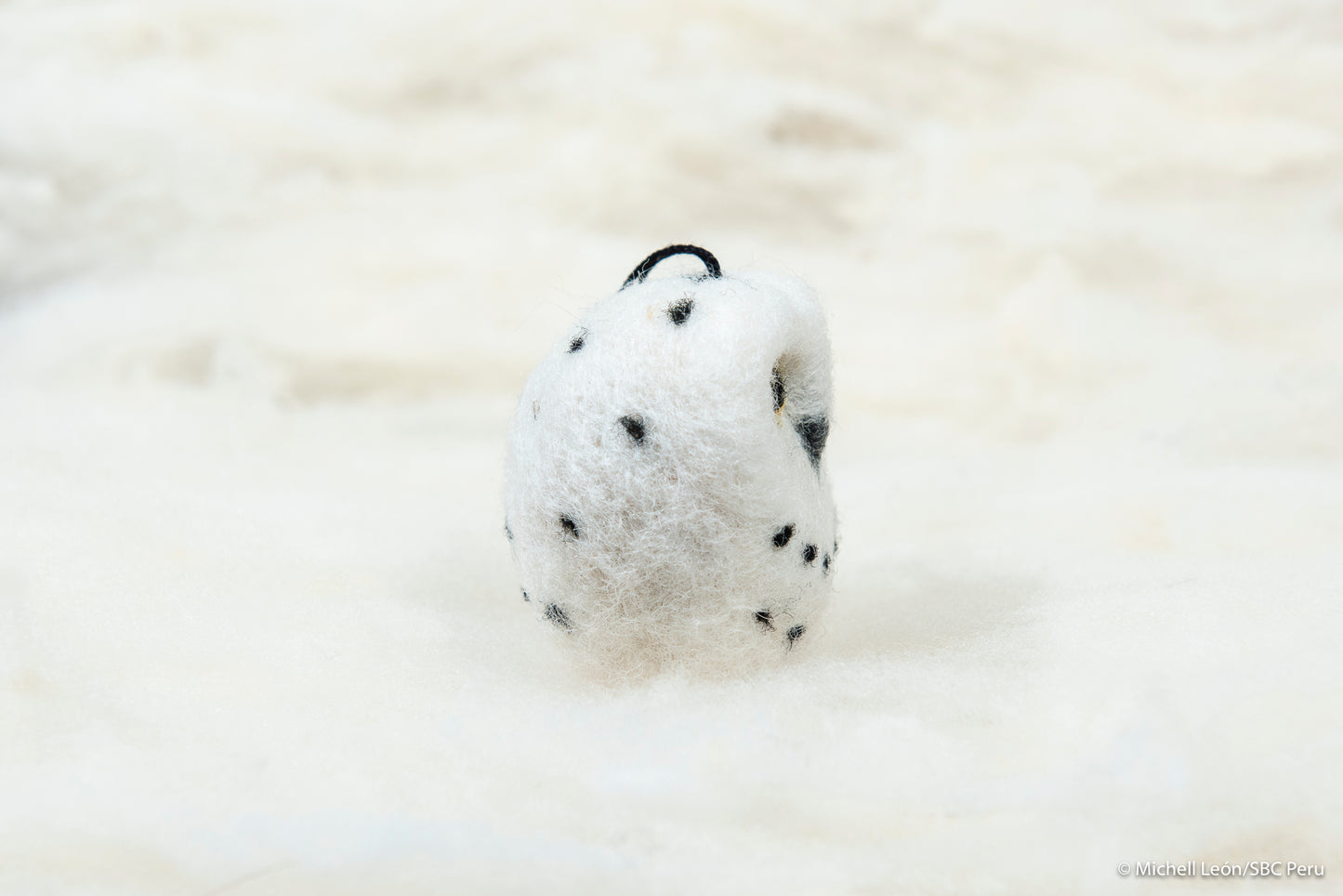 Owl, Snow