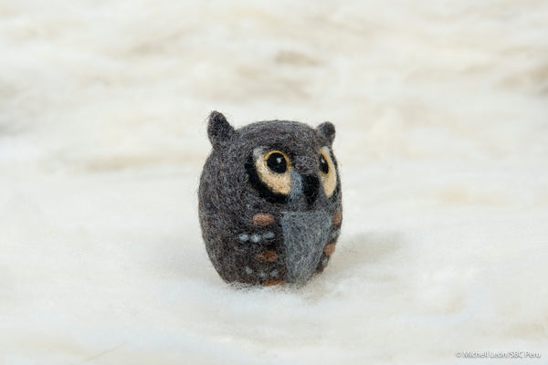 Owl - Horned owl