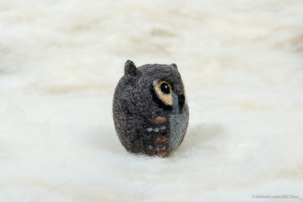 Owl - Horned owl