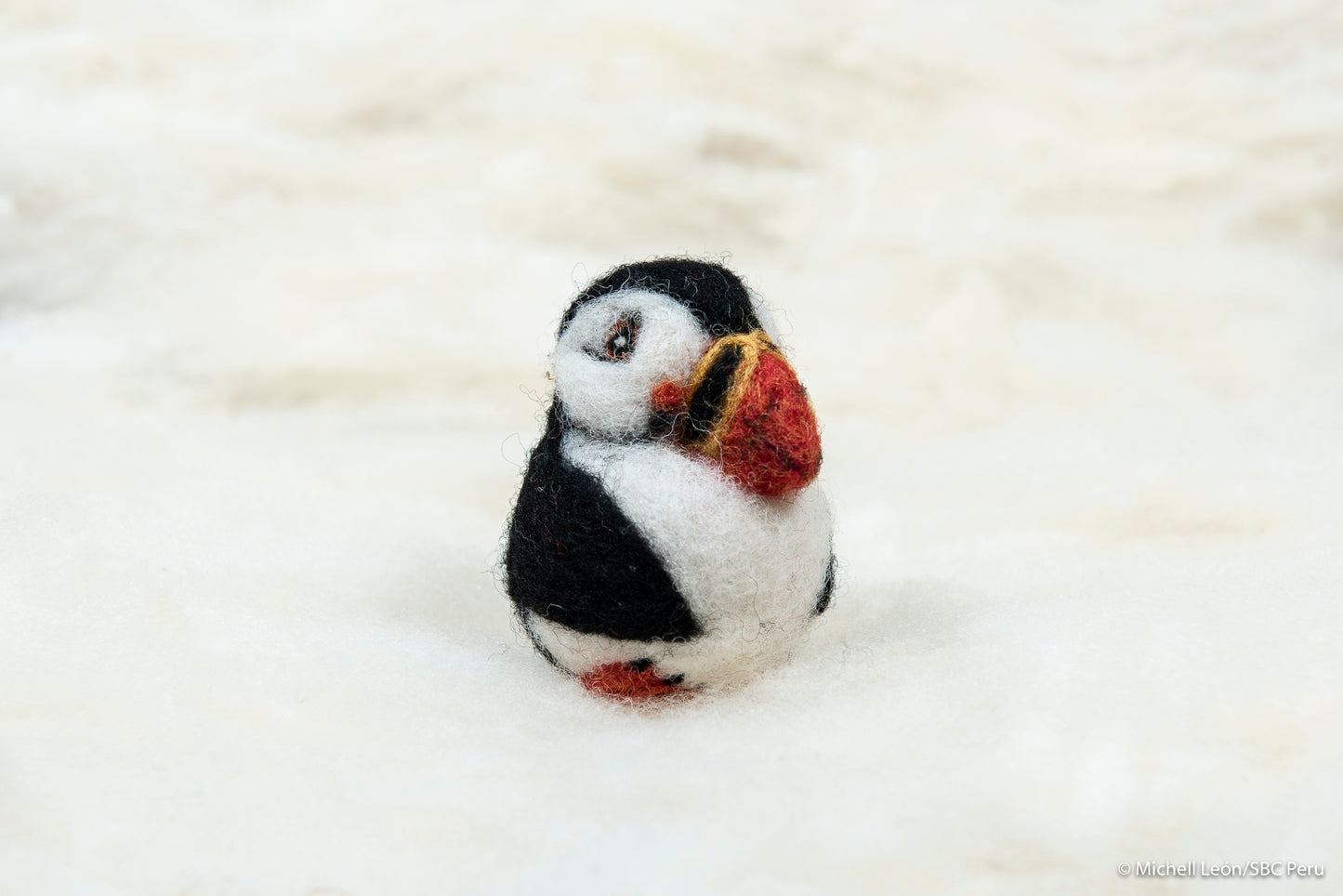 Puffin