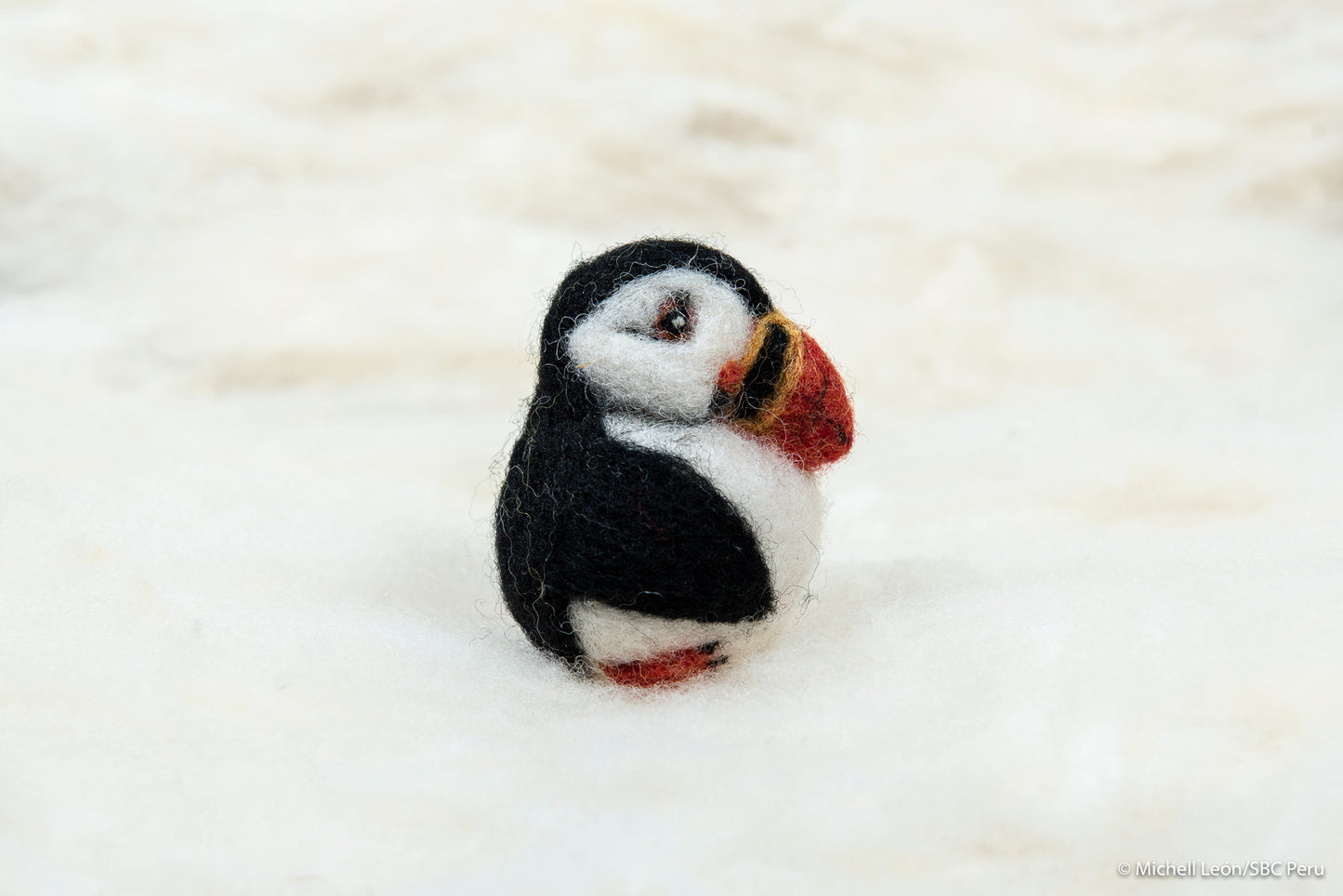 Puffin