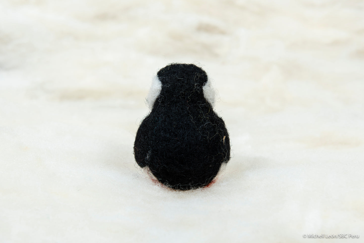 Puffin