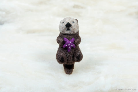 Otter with purple sea star