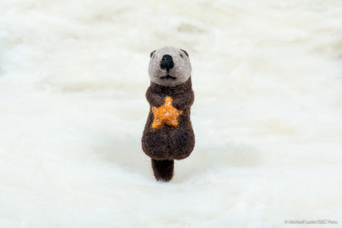 Otter with orange sea star