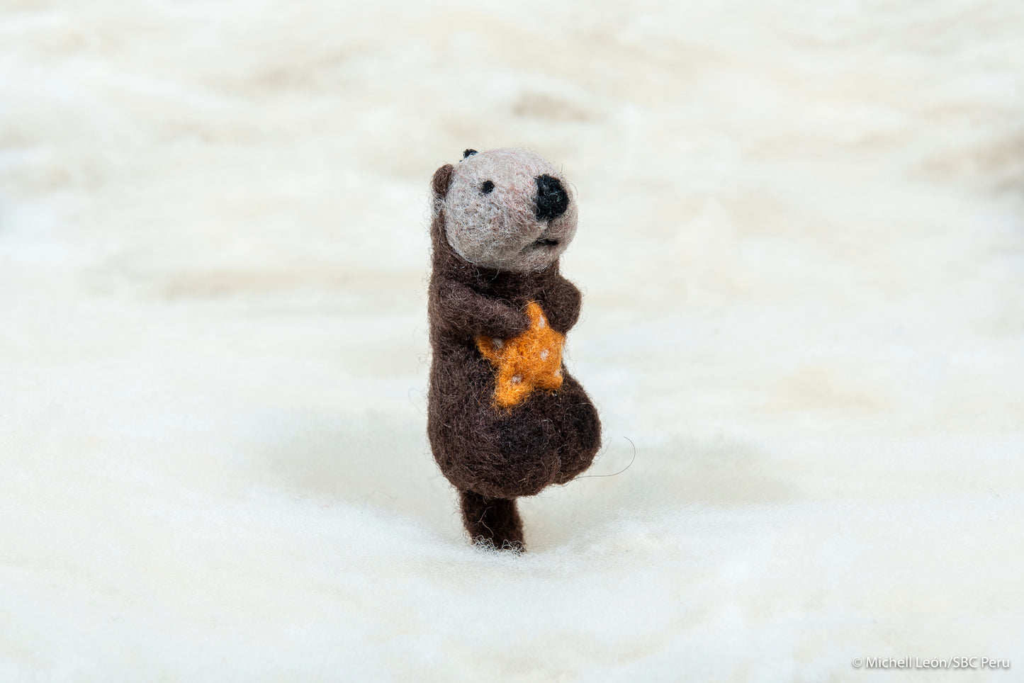 Otter with orange sea star