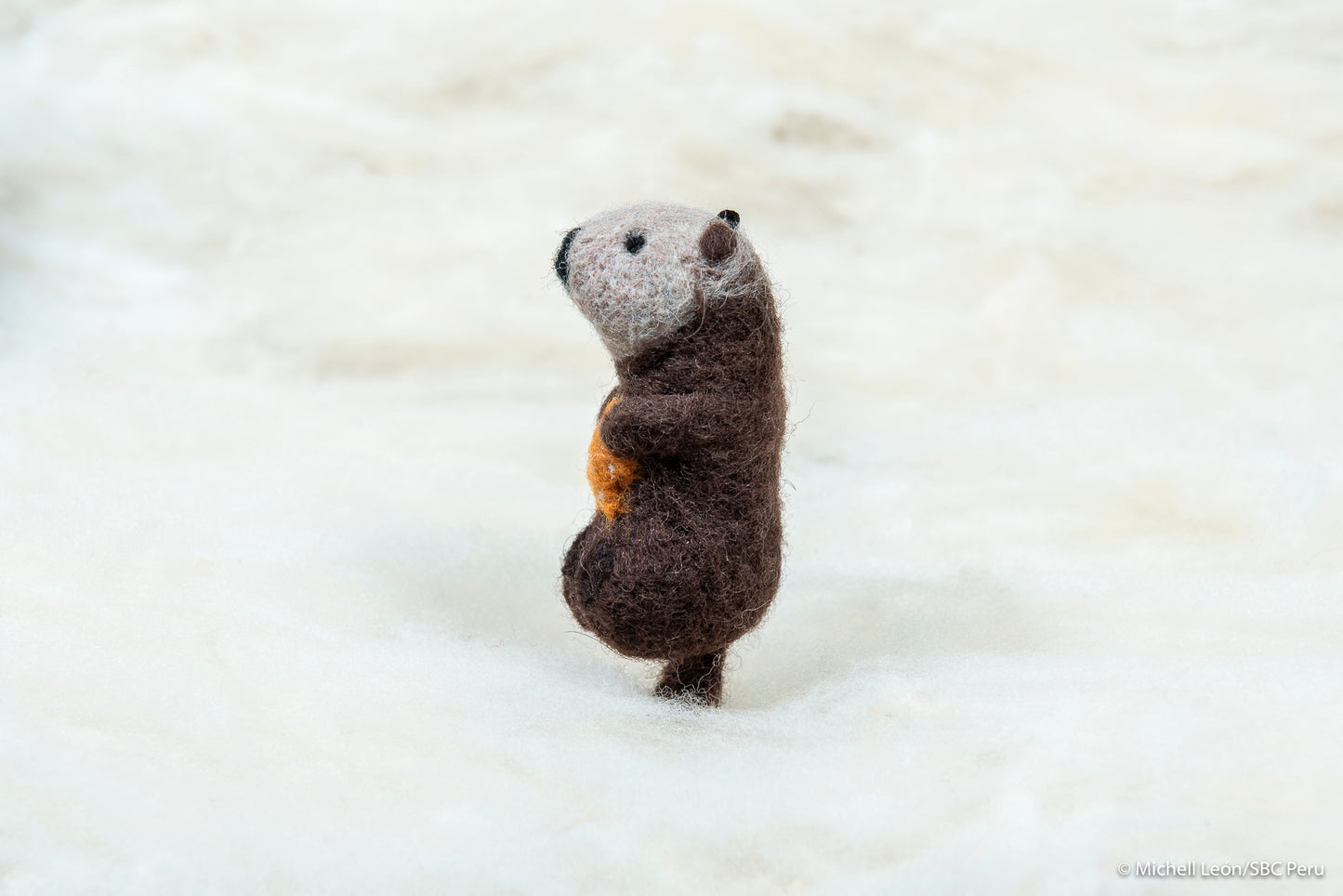 Otter with orange sea star
