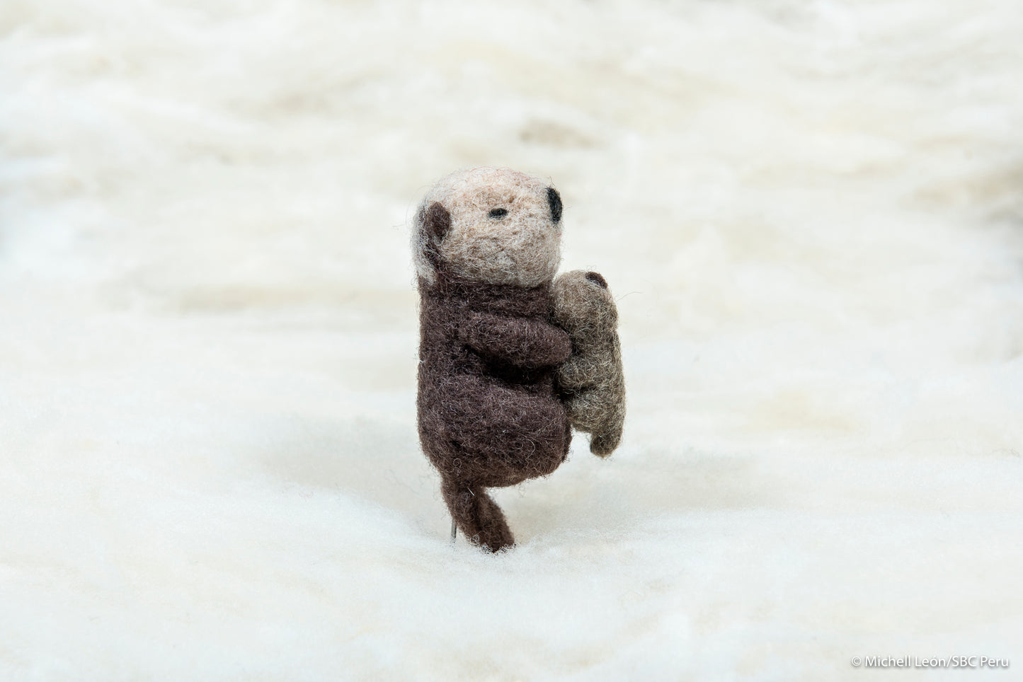 Otter with pup
