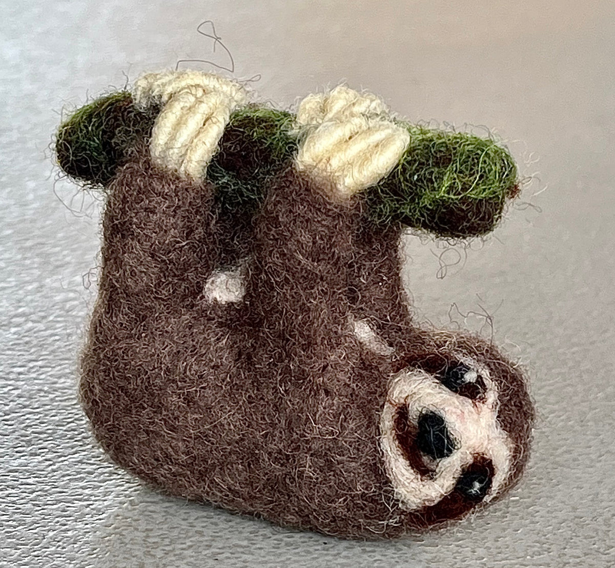 Spectacled Sloth Sloth – Spectacled Bear Conservation