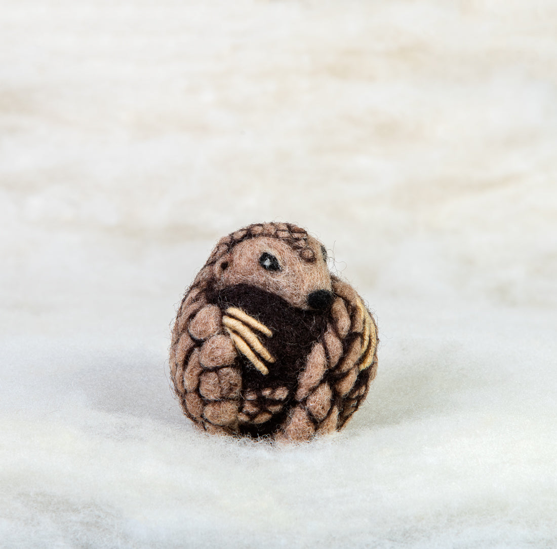 Pangolin