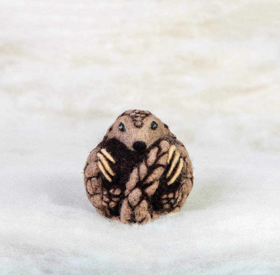 Pangolin