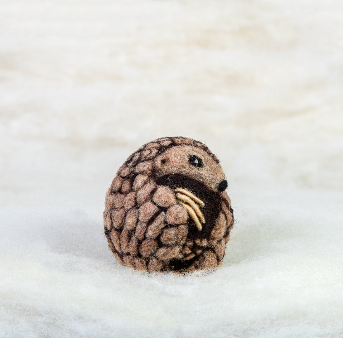 Pangolin