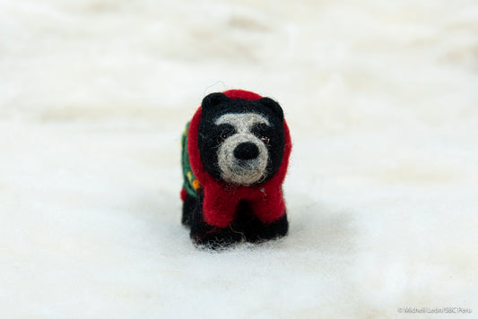 Holiday Spectacled Bear with lights