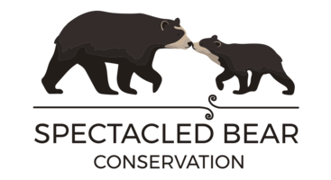 Spectacled Bear Conservation